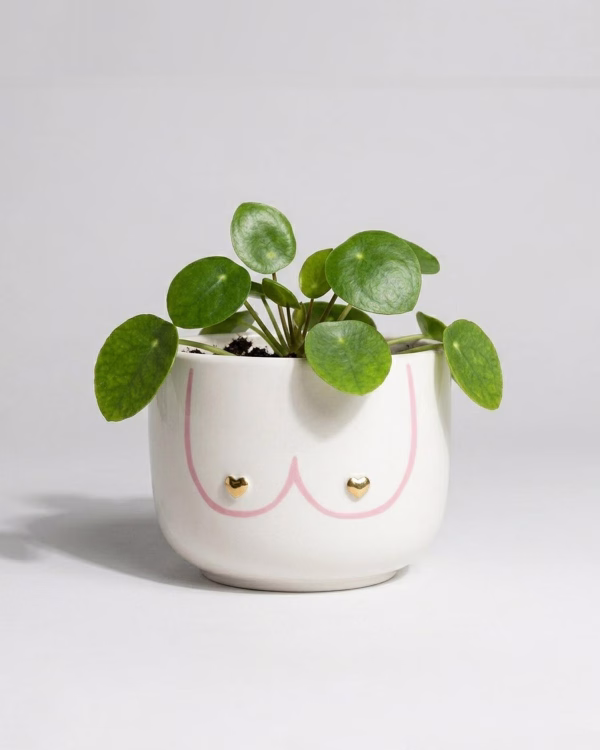 Boobies Planter