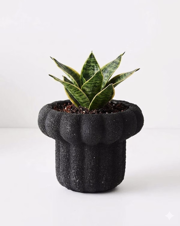 Lexi Pot – Anthracite