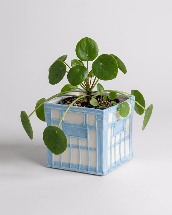 Milk Crate Pot