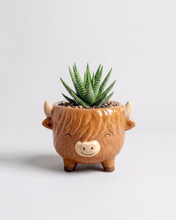 Highland Cow Mini Planter