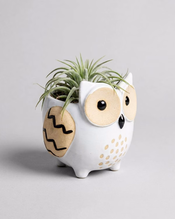Owl Planter