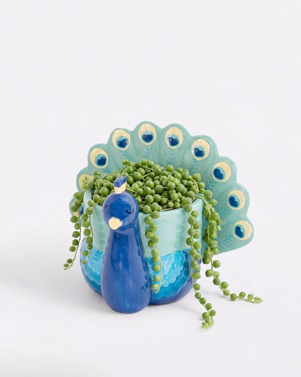 Peacock Mini Planter