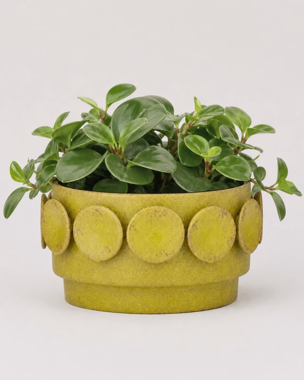 Perry Planter – Large