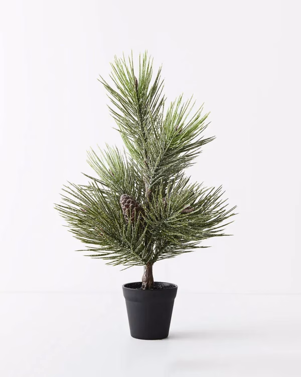 Jasper Pine Tree (53cm)