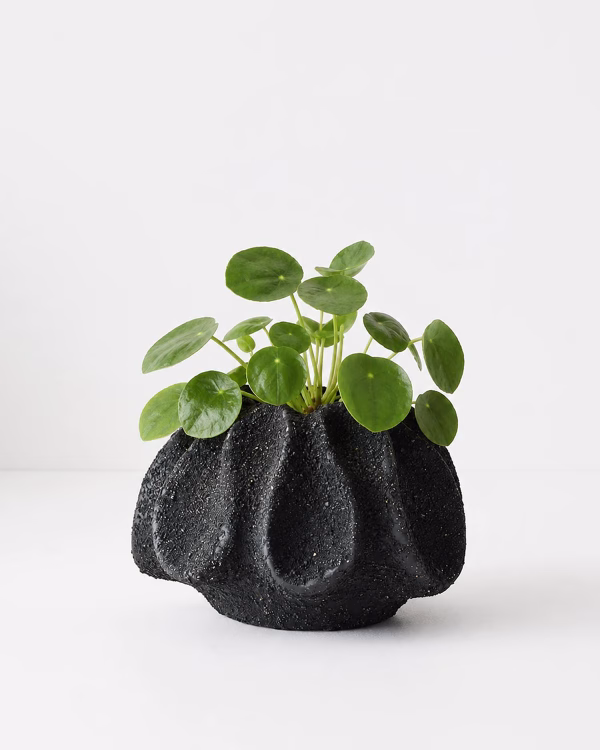 Nampula Pot – Anthracite – Small