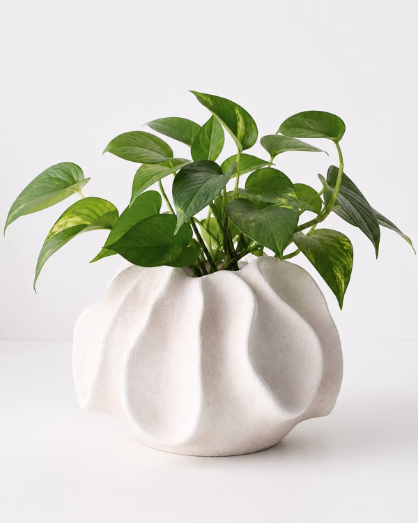 Nampula Pot – White – Large