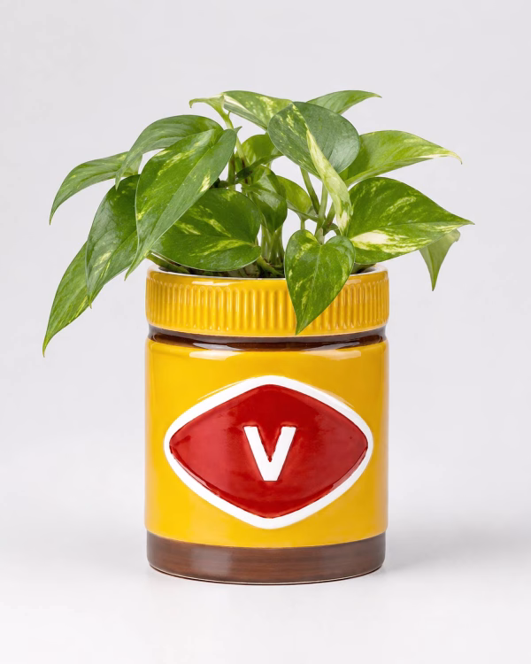 Mitey Pot