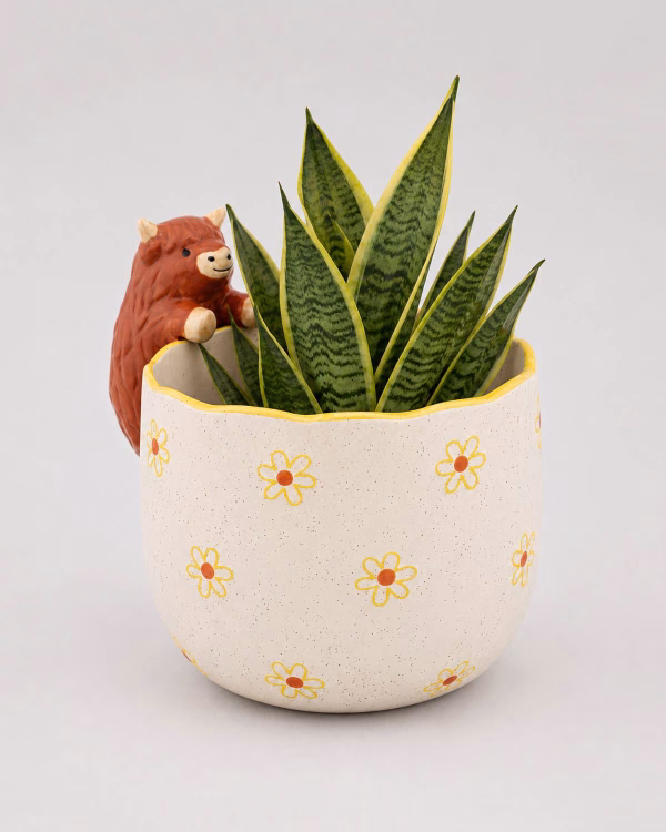 Peeking Highland Cow Planter