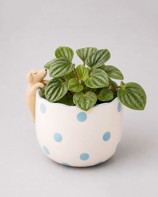 Peeking Dog Planter