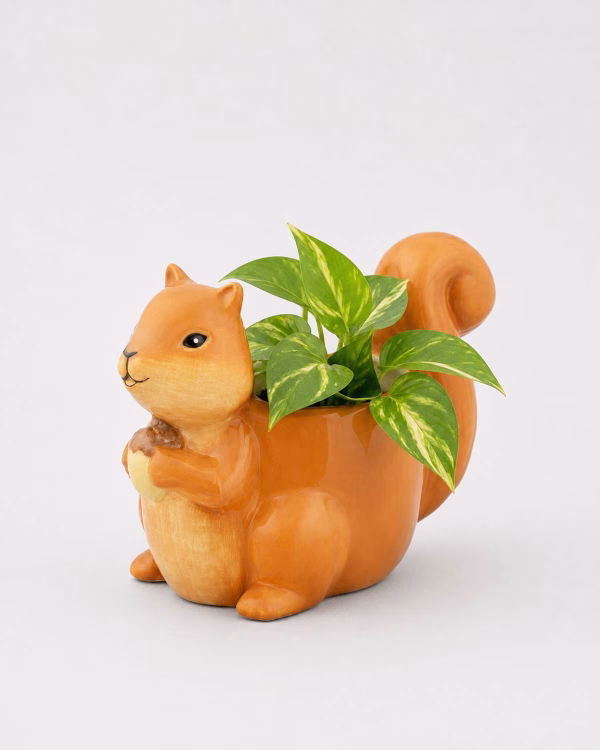 Squirrel Mini Planter