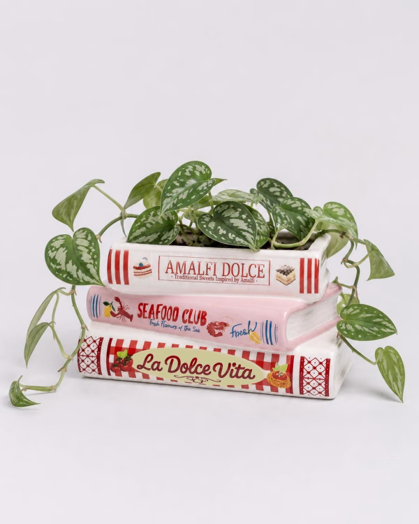 Book Stack Planter – La Dolce Vita