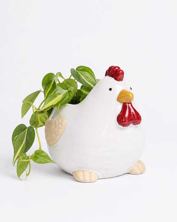Chicken Planter