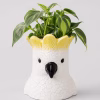 Cockatoo Planter