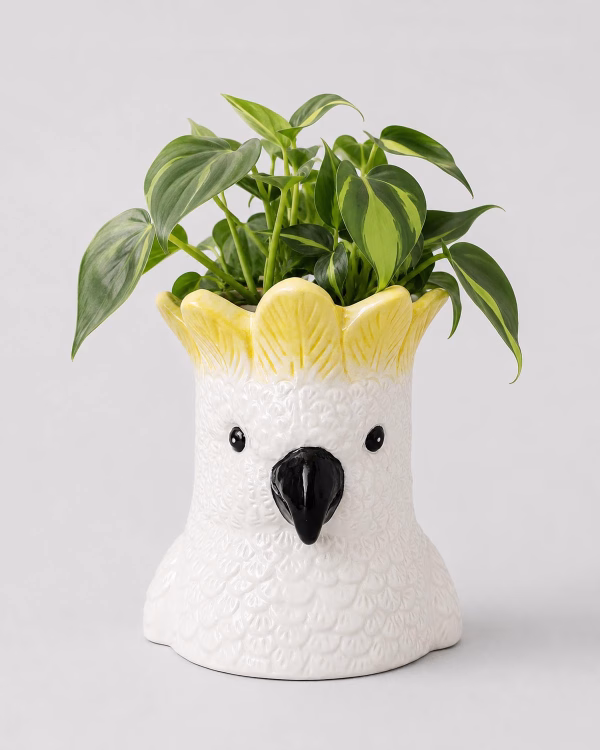 Cockatoo Planter