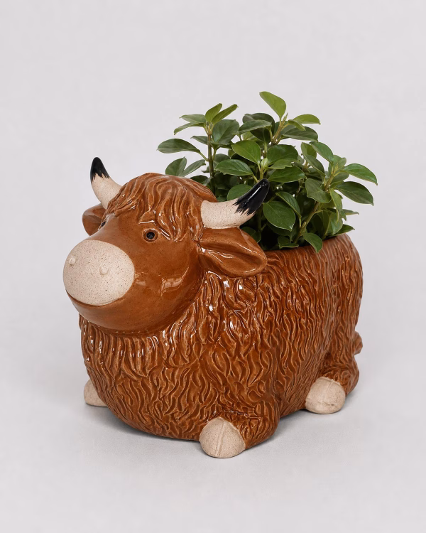 Highland Cow Planter