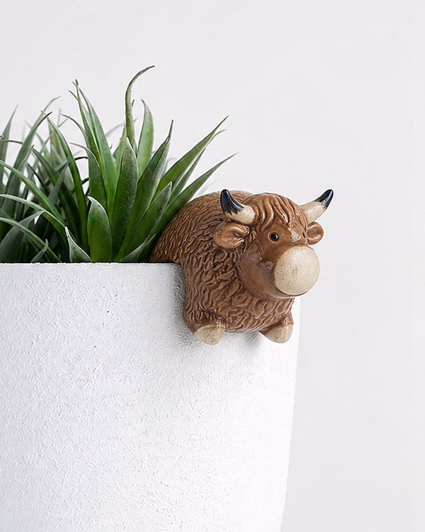 Highland Cow Pot Hanger