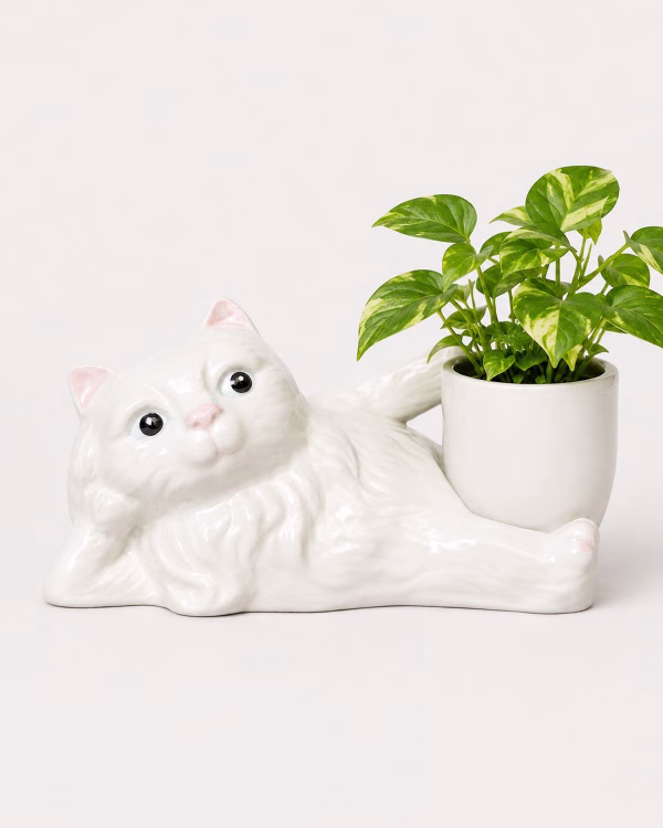 Cheeky Cat Planter