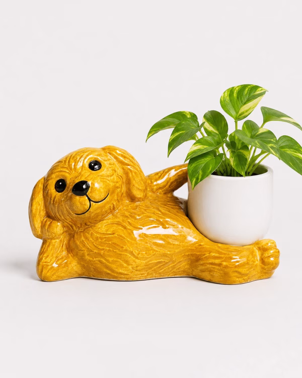 Cheeky Dog Planter