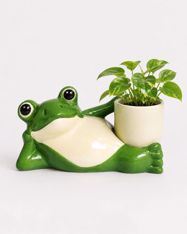 Cheeky Frog Planter