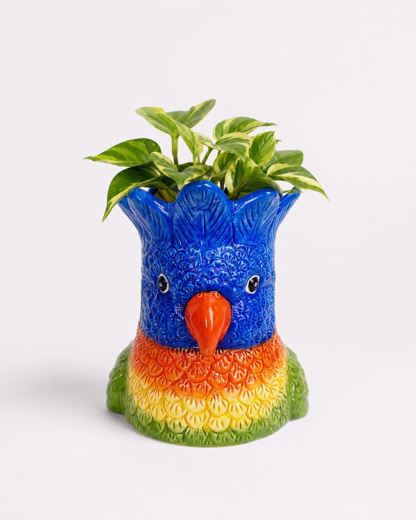 Lorikeet Planter