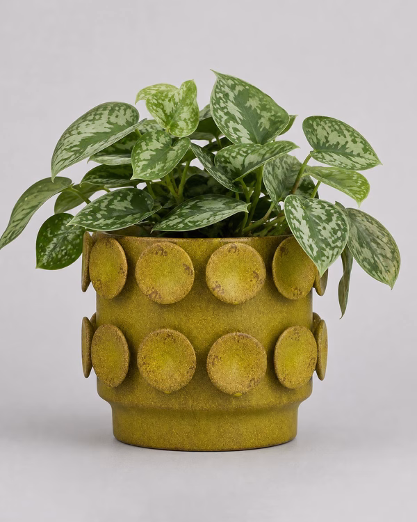 Perry Planter – Large
