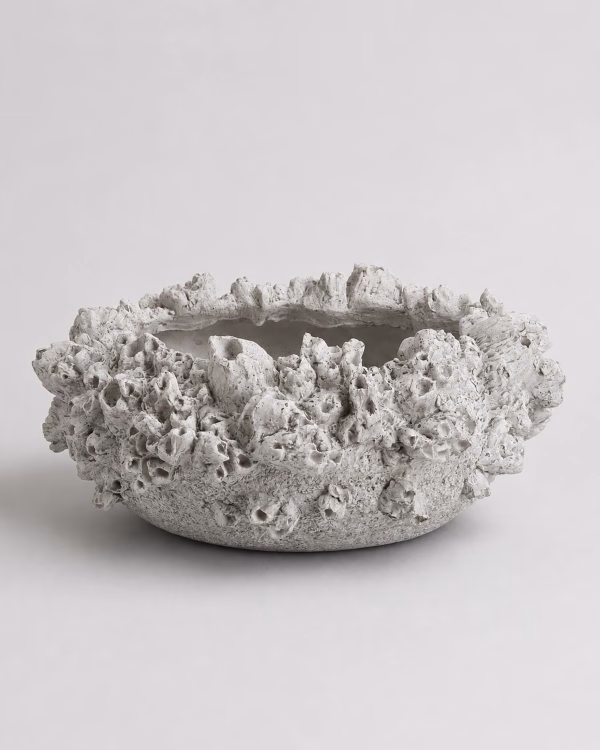 Coastal Barnacle Bowl