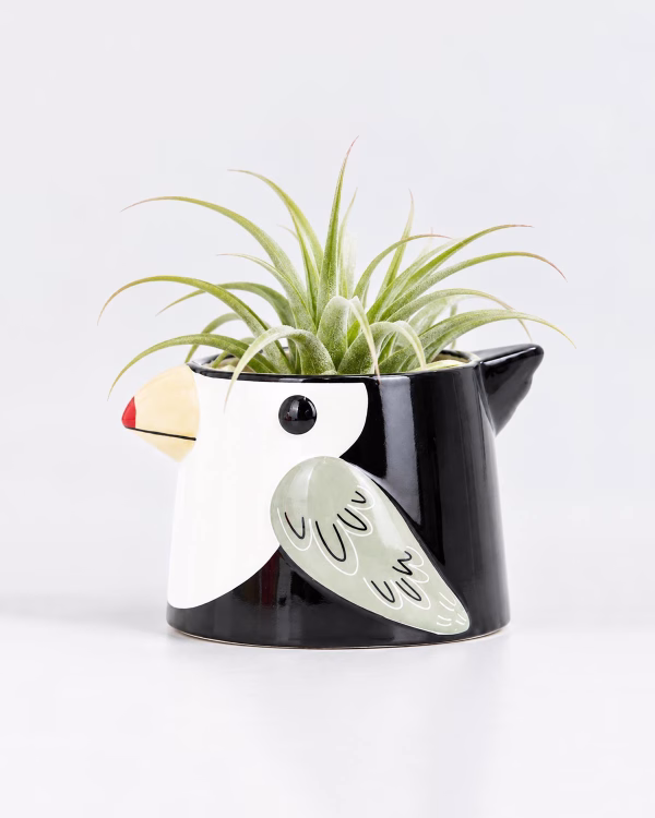 Bird Planter – Black