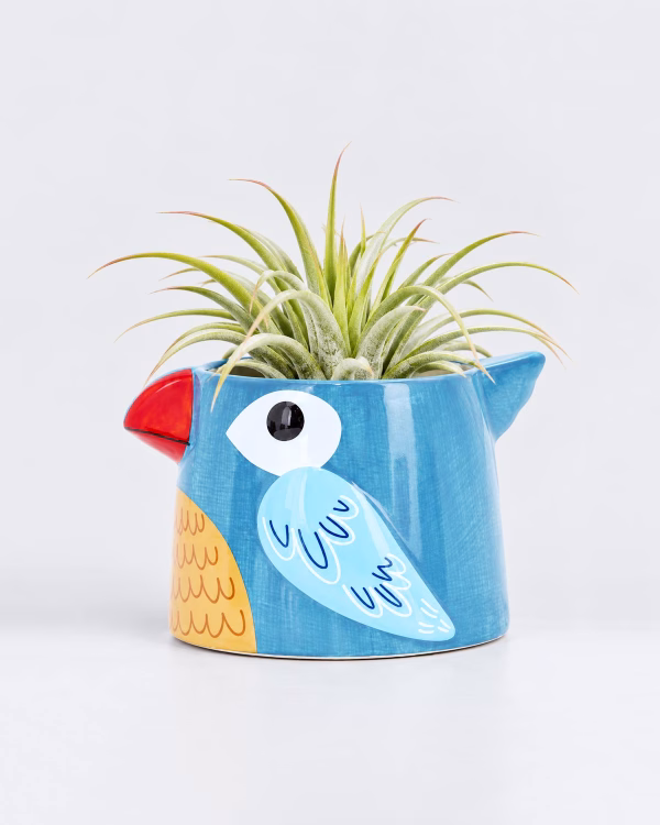 Bird Planter – Blue