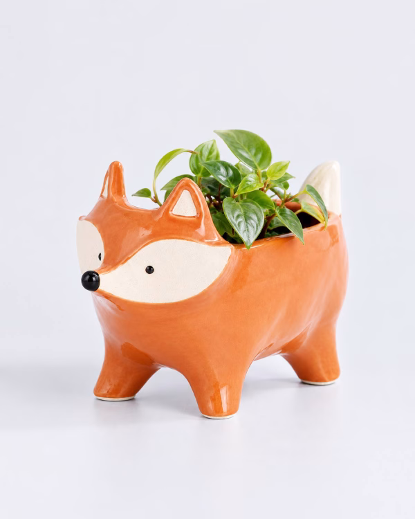 Fox Planter