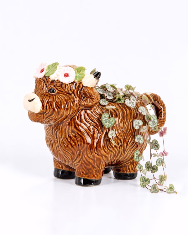Poppy Highland Cow Planter