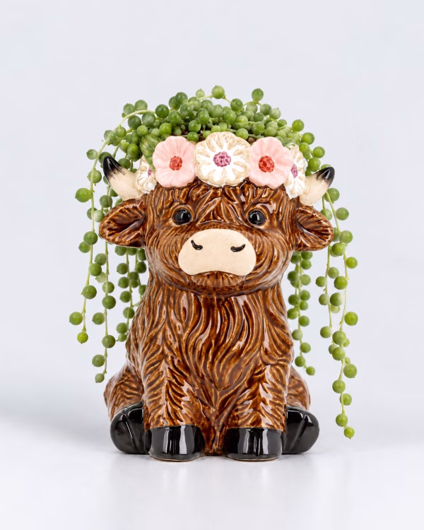 Daisy Highland Cow Planter